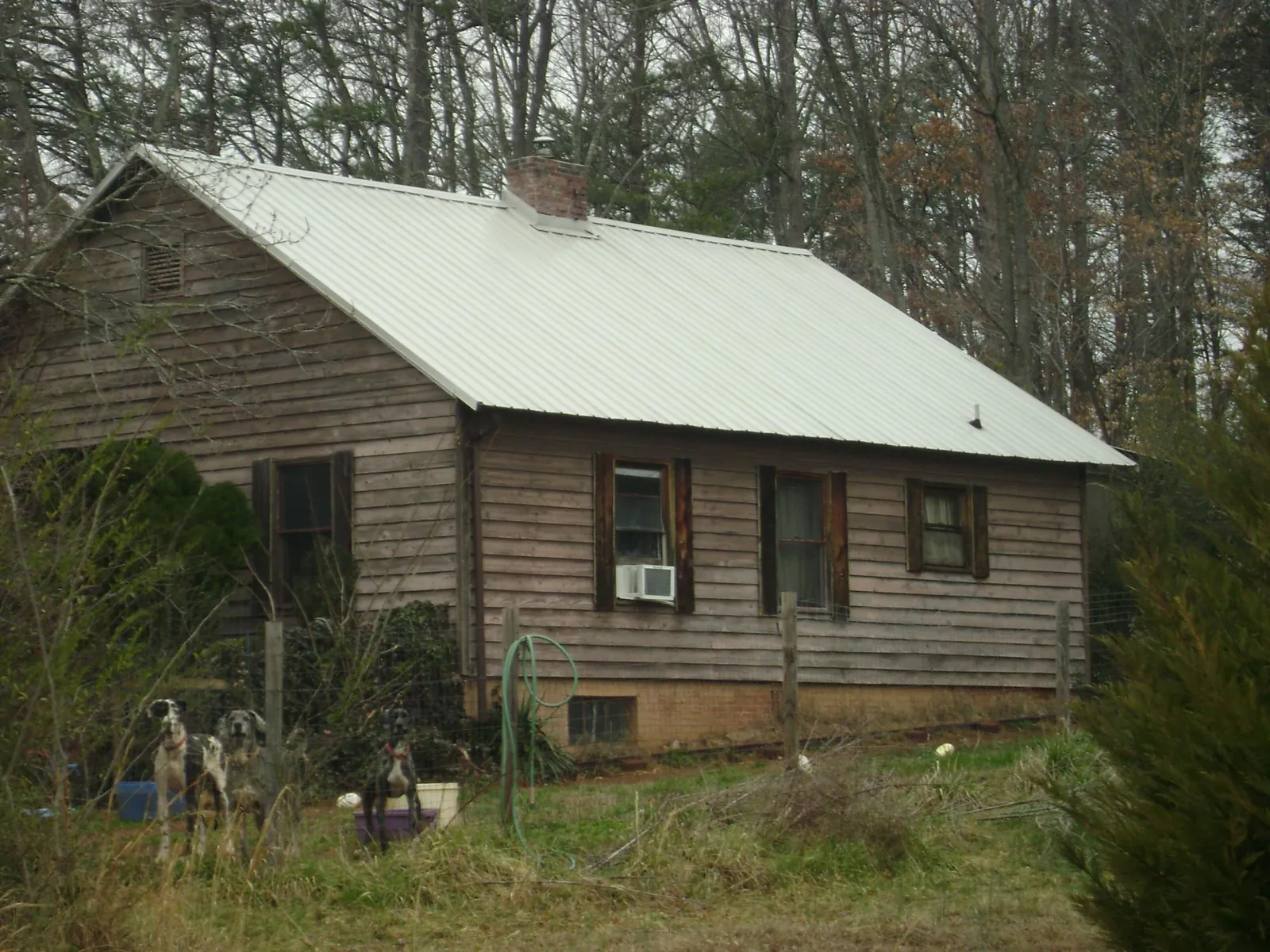 White metal roof on an old wood sided farmhouse, from a Metal Roof Installation job in Lake Grove